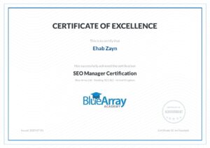 Blue Array Academy SEO Manager